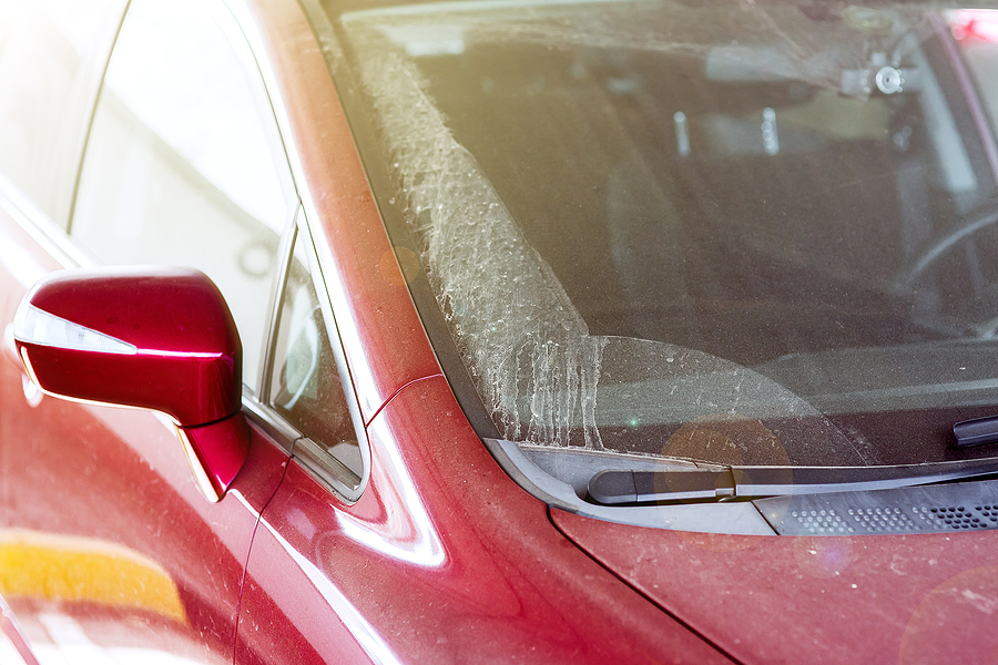 5 Ways to Remove Sticky Stuff From Your Windshield